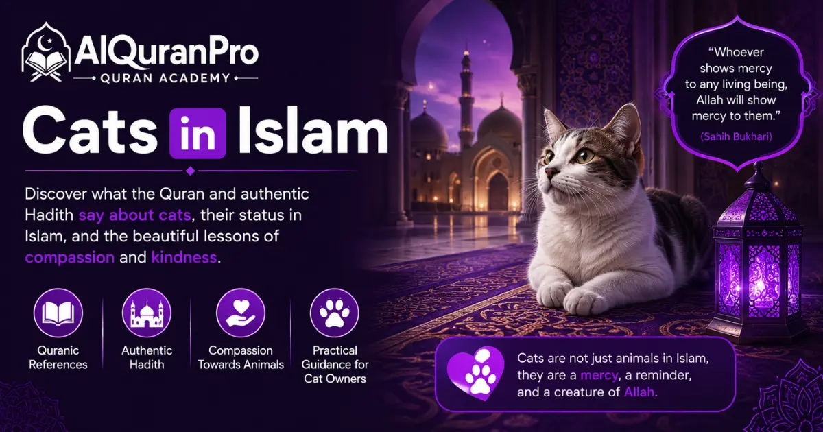 Cats in Islam What the Quran, Hadith, and Scholars Say